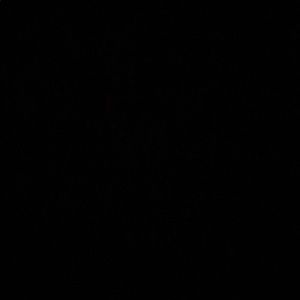 Meet your Posher, Joyce